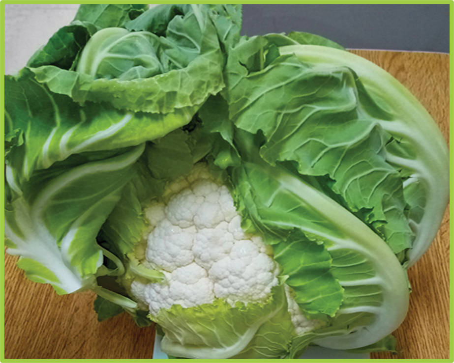 Cauliflower Qamar